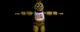 Chica the chicken