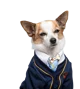 Bite Pup Academy 