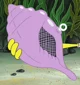 The magic conch