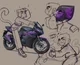 Motorcycle macaque