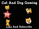 Cat and Dog Gaming