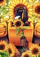 SunStreaker -any-