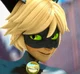 Adrien Agreste Cat