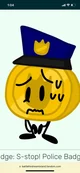Officer Golden Coin