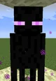 Enderman