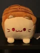 Bread Cat