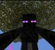Smoke the Enderman