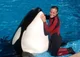 Tilikum