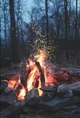 Campfire Gone Wrong