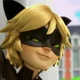 Chat noir