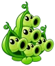 pea pod