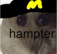 Hampter 