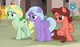 Swooning Ponies Trio