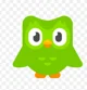 Duolingo_