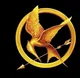 Hunger Games RPG