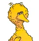 Big bird