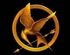 Hunger Games RP