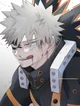 Pro Hero Bakugo