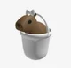 capybara in a bucket