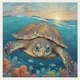 Sea turtle