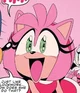 Amy rose
