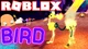 Roblox BIRD