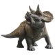 BABY TRICERATOPS  jw