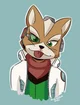 Fox mccloud 