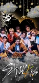 Stray kids 