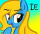 IE Pony