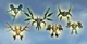 Creatures-Bionicle