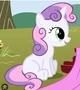 Sweetie Belle