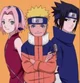 Equipo 7