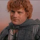 Samwise Gamgee 