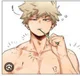 Katsuki Bakugou 