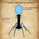 Crystal infection