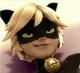 Cat noir