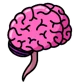 Brain