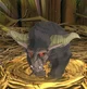 Baby Rajang