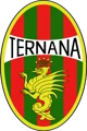 Ternana Calcio 