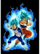 Ssjb Goku and Vegeta