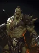 Orc Chief