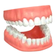Dentures