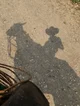 Vaquero