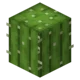 Minecraft cactus