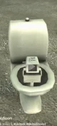 Toilet camera