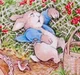 Peter Rabbit