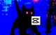 GlitchedCat50