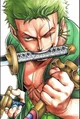 Zoro BR