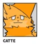 Catte